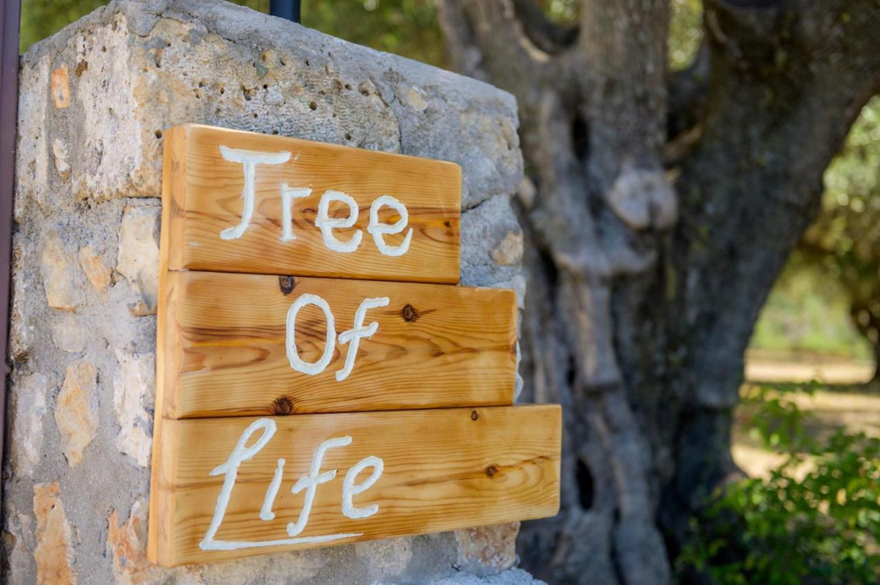Tree Of Life Villa Valeriános Екстериор снимка